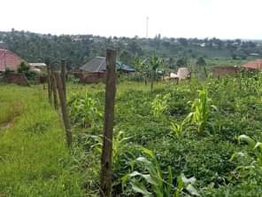 A picture of Plots for sale in Nabingo Masaka Rd Size 30 40fit