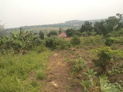 houses matugga