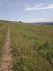 A picture of Mailo land title plots at zigoti 6m
