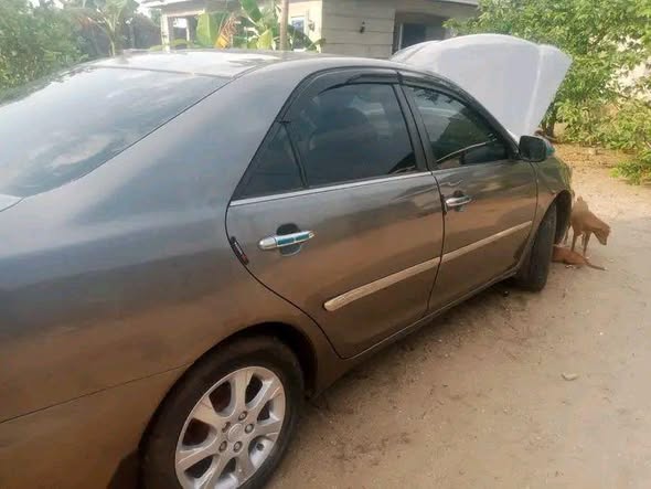 A picture of Toyota Camry big daddy