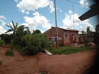 A picture of 4 SEMI FINISHED RENTAL UNITS FOR SALE IN NAKASEKE KAPEEKA