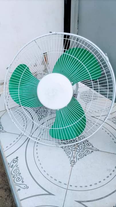 fans