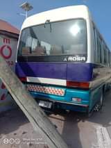 A picture of Inauzwa costa rosa