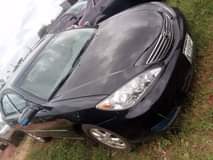 A picture of Camry BigDaddy