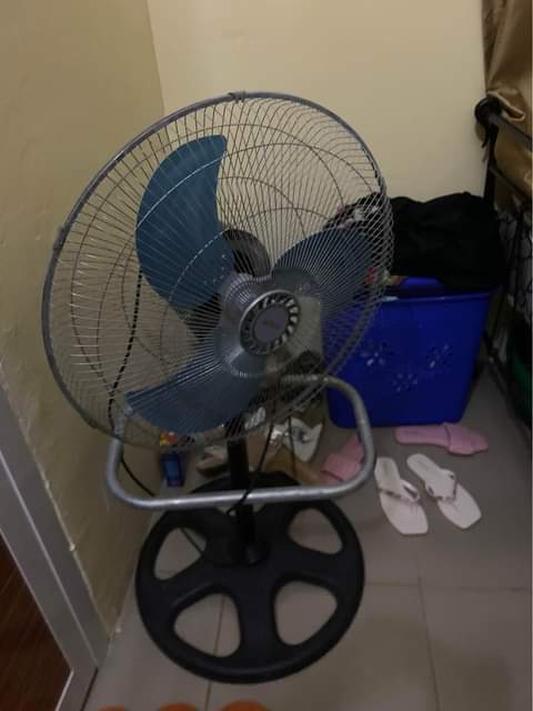 fans