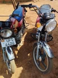 A picture of 2022 Chaina UG BOSS