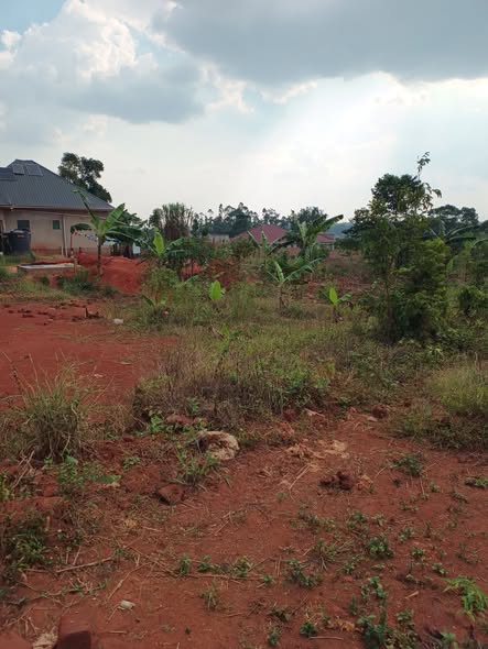A picture of PLOT ON URGENT SALE