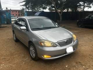 A picture of 2008 COROLLA 2008