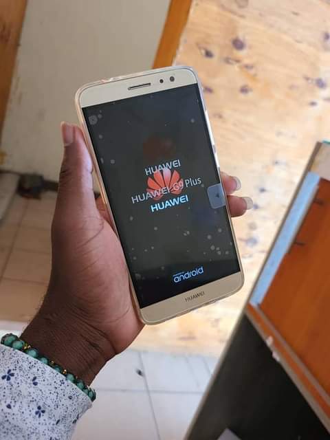 New M.