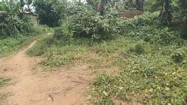 A picture of Quick sell plot 70by40ft 4m only