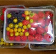 A picture of Berries strawberry mulberry raspberry blackberry cape goosberry