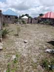 A picture of Pagala linauzwa