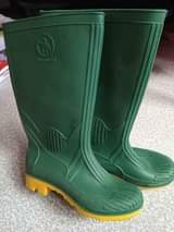 A picture of rain boot