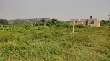 A picture of 50 100 plots available in nabusugwe via kitukutwe.