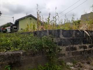 A picture of 0789160475