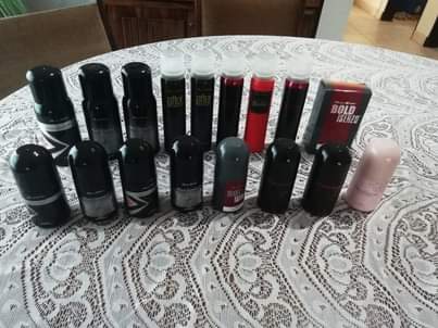 avroy shlain products