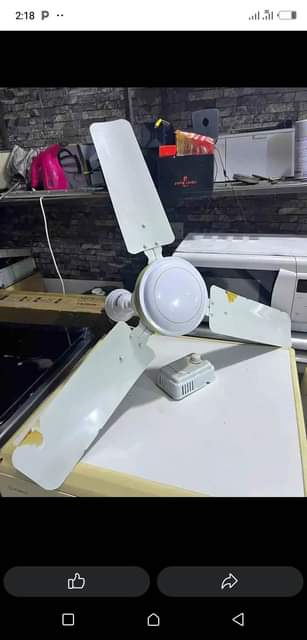 A picture of Fen ya ukutani na pangaboi