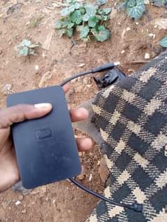 A picture of external Hdd WD 250gb