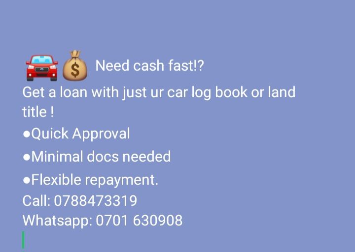 A picture of LOANS