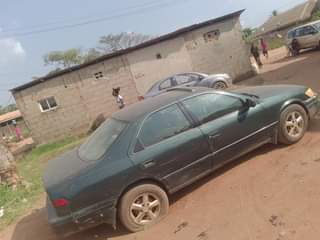 A picture of Tinny