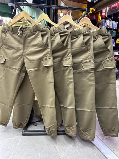 A picture of Cargopants combat