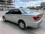 A picture of Carina 0785616066