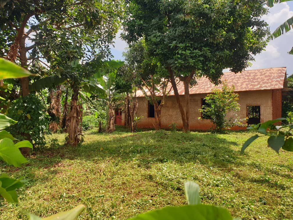 houses for sale