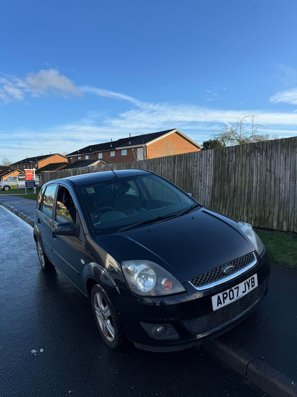 ford zetec