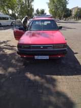 Mxolisi M.