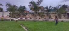 A picture of 6bedroom 6bathrooms on sale in Mukono on 50decimals at 950m