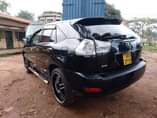 A picture of 2004 Japan Harrer kawundo