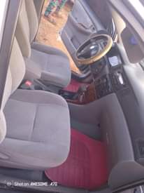 A picture of Toyota Corolla sports 2007