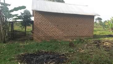 A picture of Plot