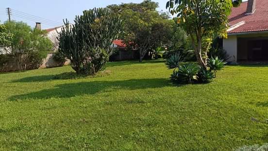 houses runda