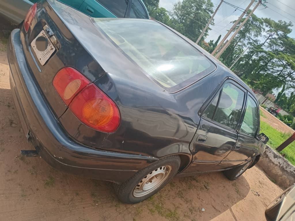 A picture of Small Corolla