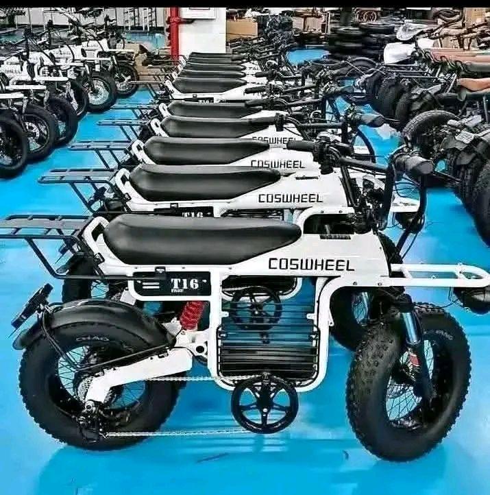A picture of Bikes for lipa mdogo