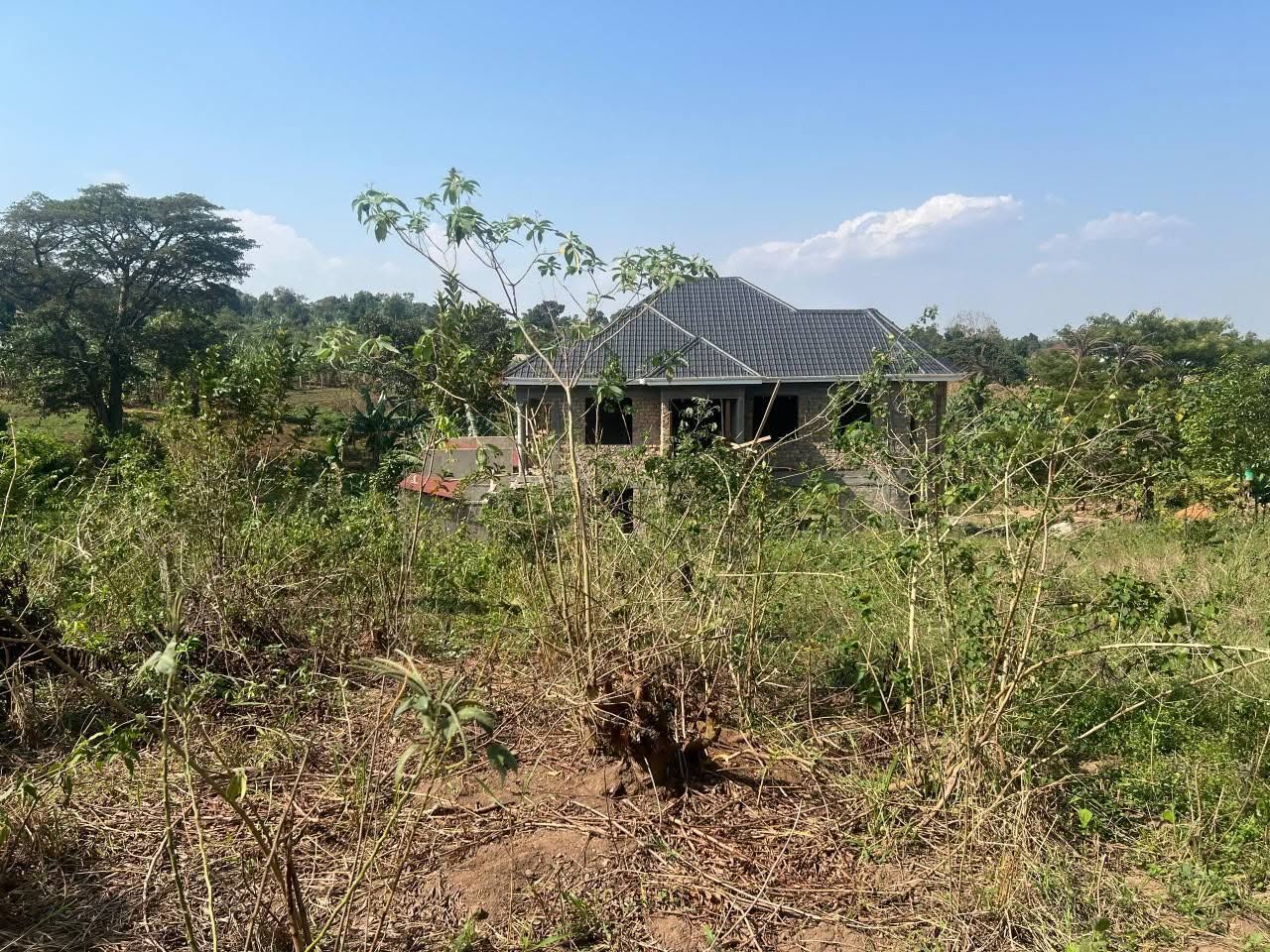 A picture of Plot in bugema at 25m with title