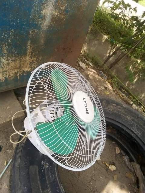 fans