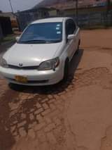 used toyota platz