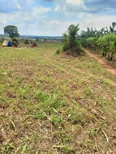 A picture of 50 ACRES OF LAND AT KAPEEKA