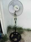 A picture of Feni