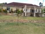 A picture of House for sale at 450m ush at Nsangi Masaka road
