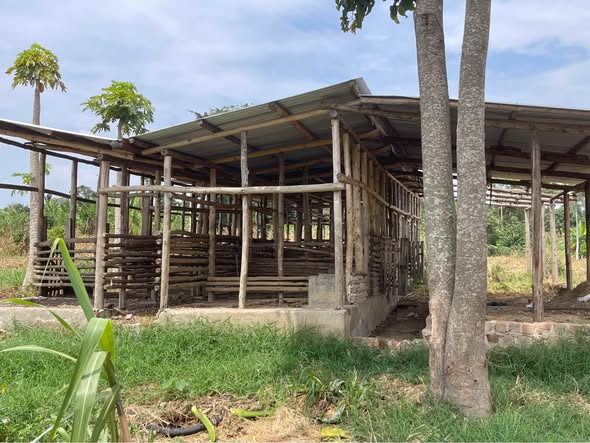 A picture of 2 5 FERTILE ACRES FOR SALE IN KAPEEKA