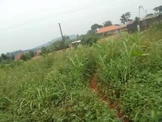 A picture of 100ft by 100ft that touches the tarmac of mukono katosi