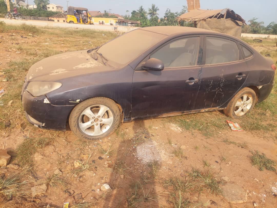 A picture of 2009 Hyunda electra