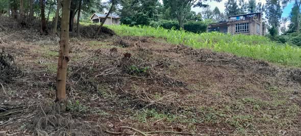 residential plots