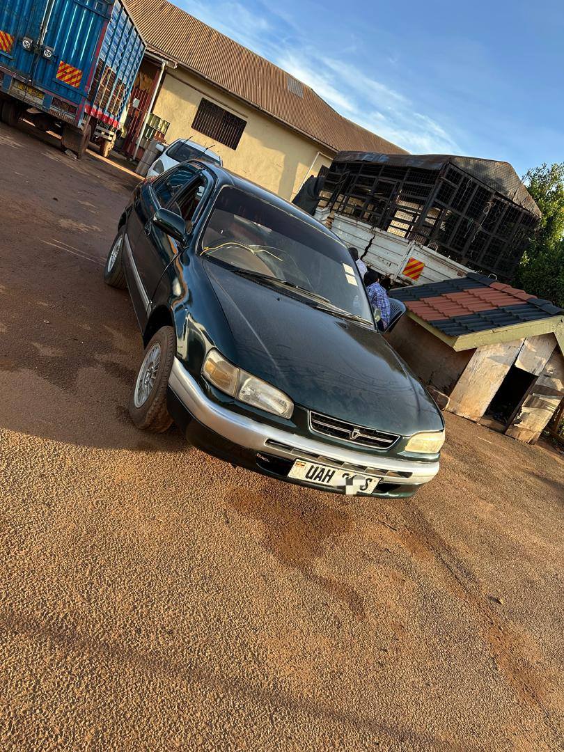 A picture of 0705 027609 6 5m negotiable