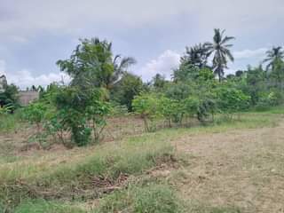 A picture of Tumshukuru Mwenyezi Mungu kwa sababu yeye ni mwema daima. Kiwanja