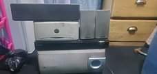 A picture of Homo sound