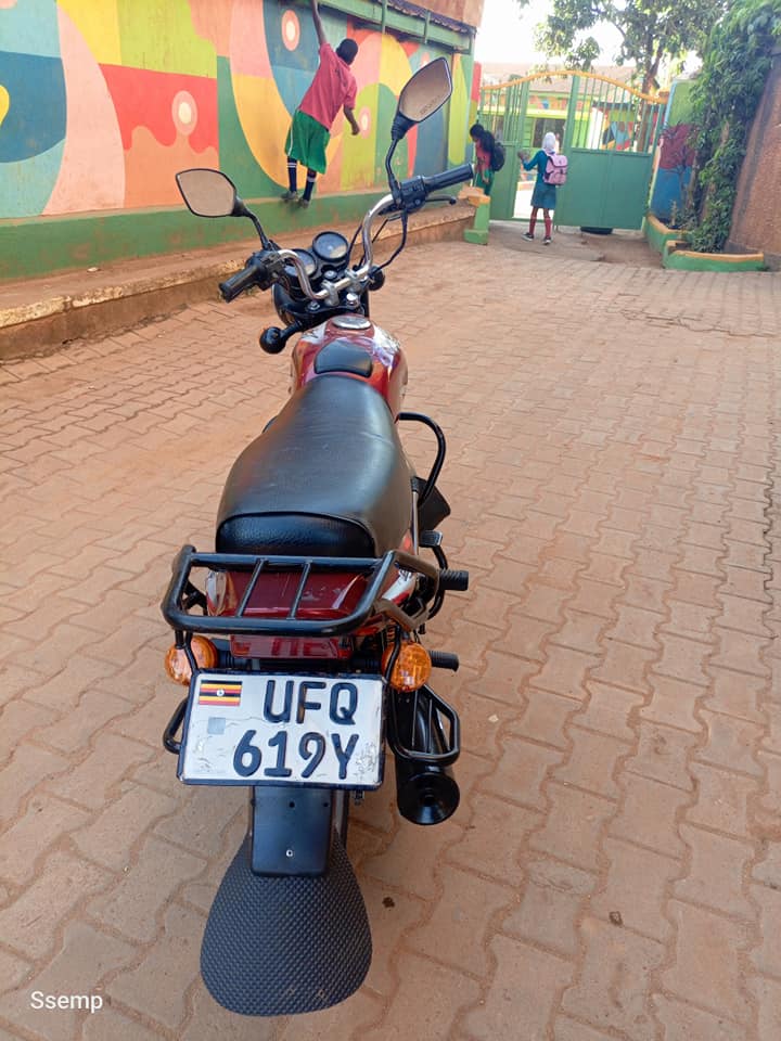 bikes